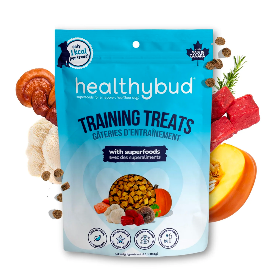 Functional Mini Training Treats For Dogs by Healthybud • For Brain