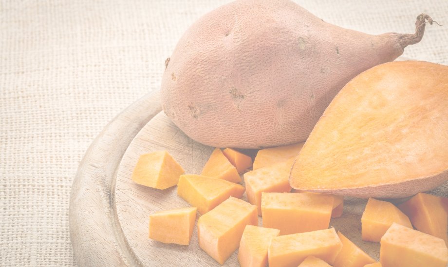 4 reasons your dog should eat sweet potatoes - healthybud USA