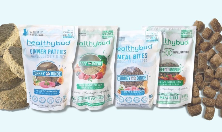 4 Reasons Your Dog Should Try Healthybud Food - healthybud USA