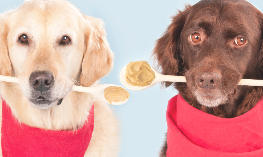 DIY Healthy Dog Treats: Peanut Butter Banana Drops