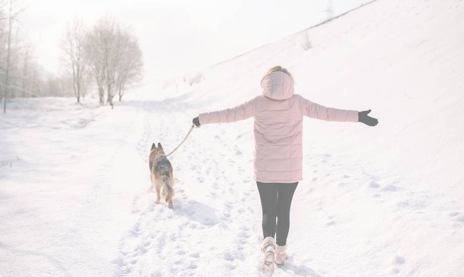 7 safety tips for snowy walks with your dog