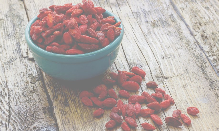 Why Goji Berries Should Be Your Dog’s Go-To Berry! - healthybud USA