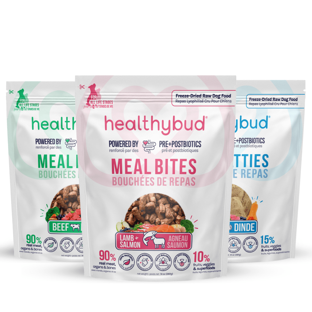 Freeze-Dried Raw Dog Food - healthybud