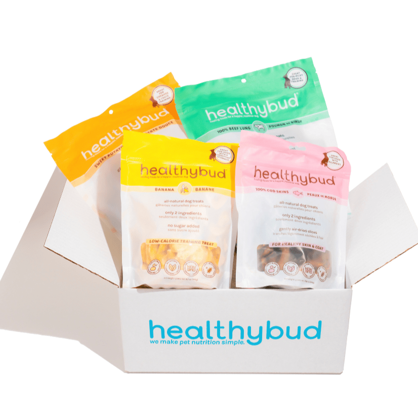 Single Ingredient Dog Treats - healthybud