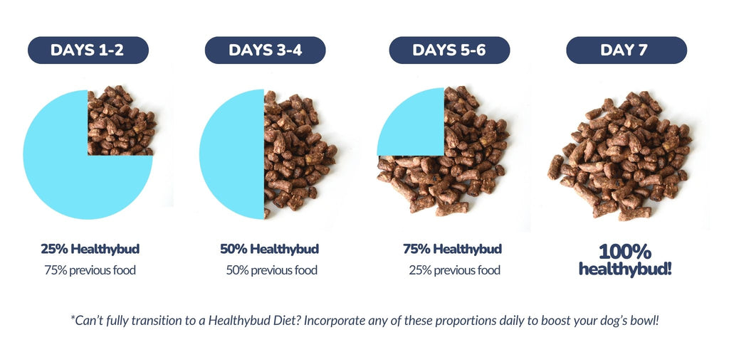 Transition chart for Benefits of Raw Dog Food USA