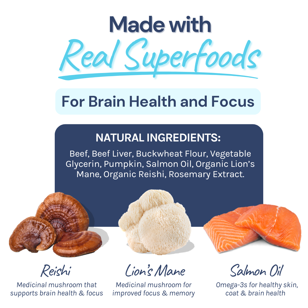 Beef Mini Training Treats