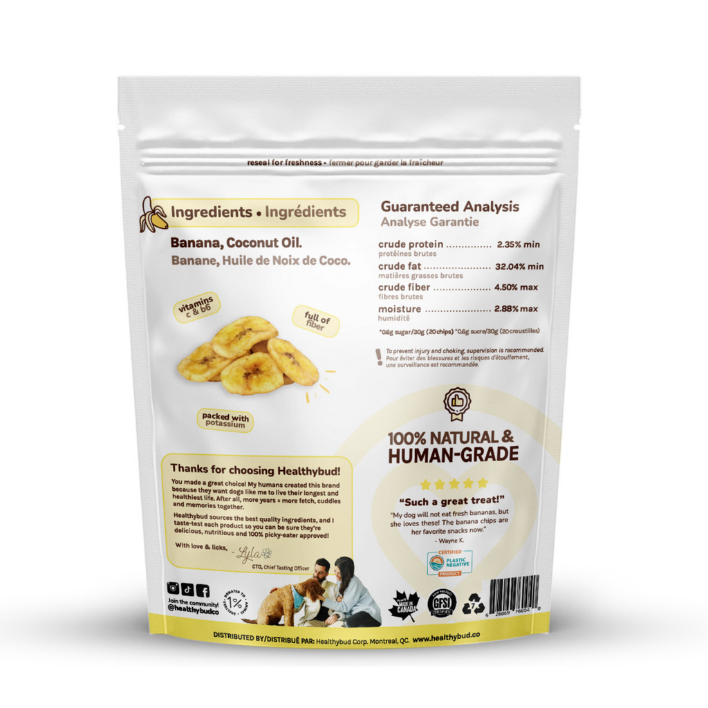 Back of Healthybud Banana Chips bag for dogs, showing ingredients and nutritional information. Natural and vegan.