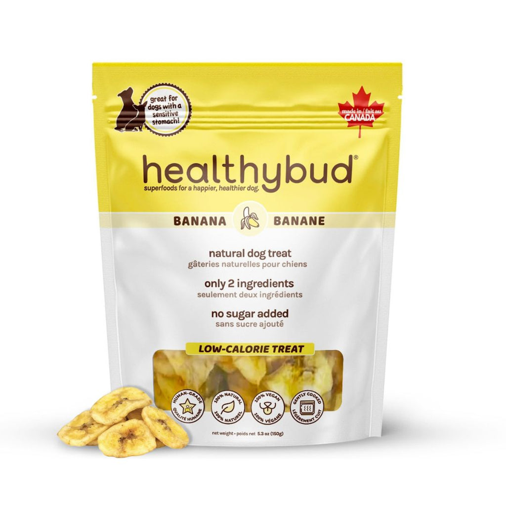 Healthybud Banana Chips for dogs - front of bag with banana chips inside. Natural, vegan, and perfect for sensitive stomachs.