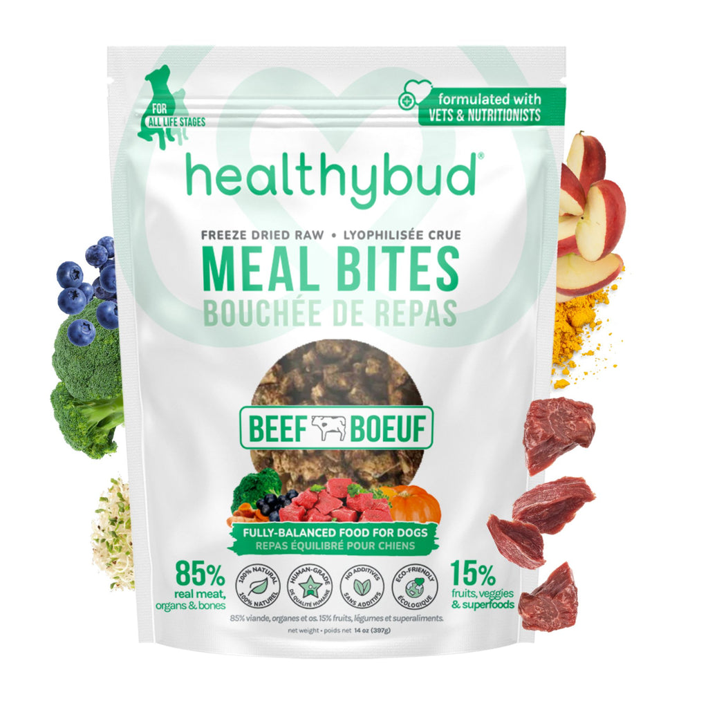 Front of Healthybud Beef Meal Bites bag - freeze-dried raw meal with beef, organs, and superfoods.