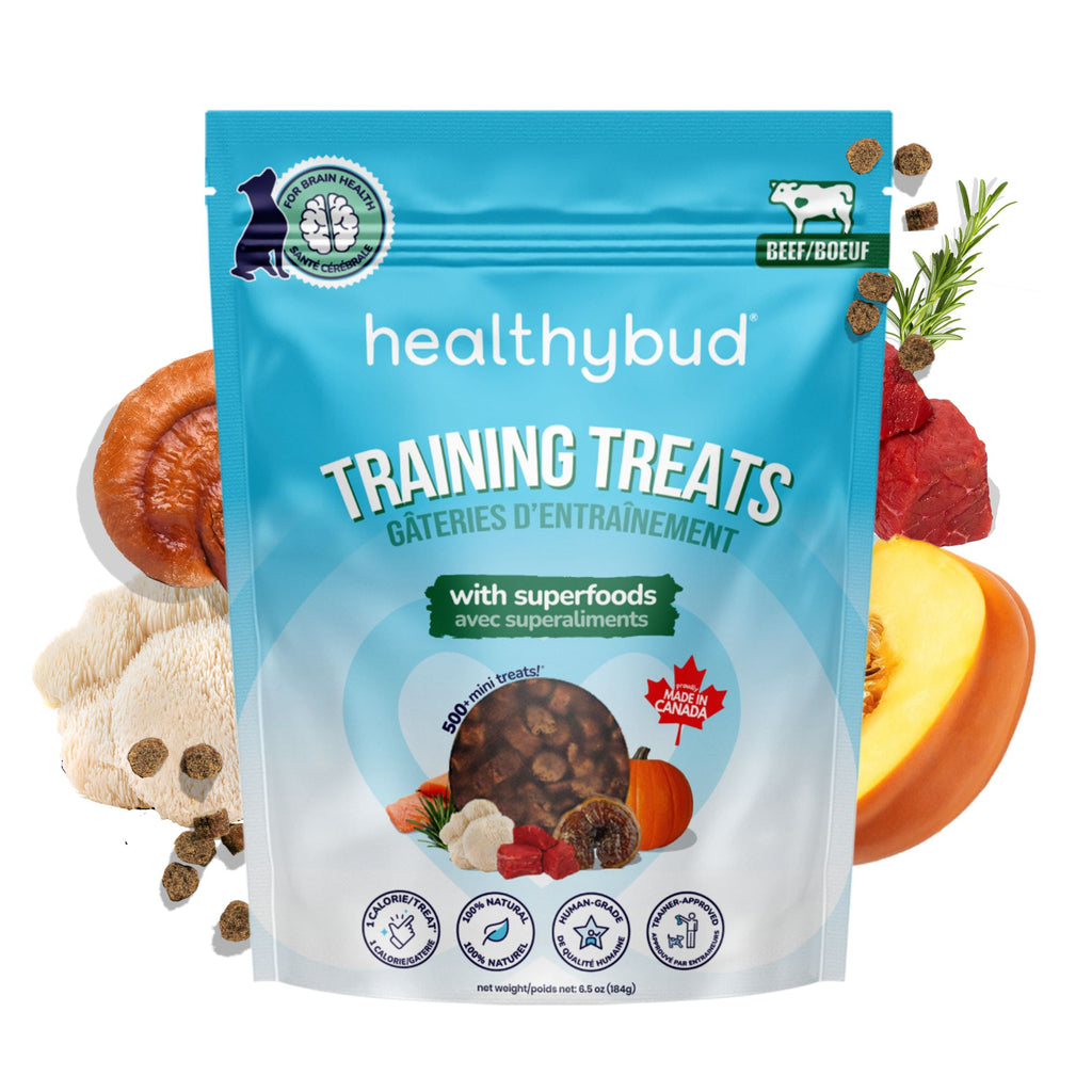 Front of Healthybud Mini Training Treats bag - 1 low calorie superfood mini treats with Lion's Mane, Reishi, & Salmon Oil.