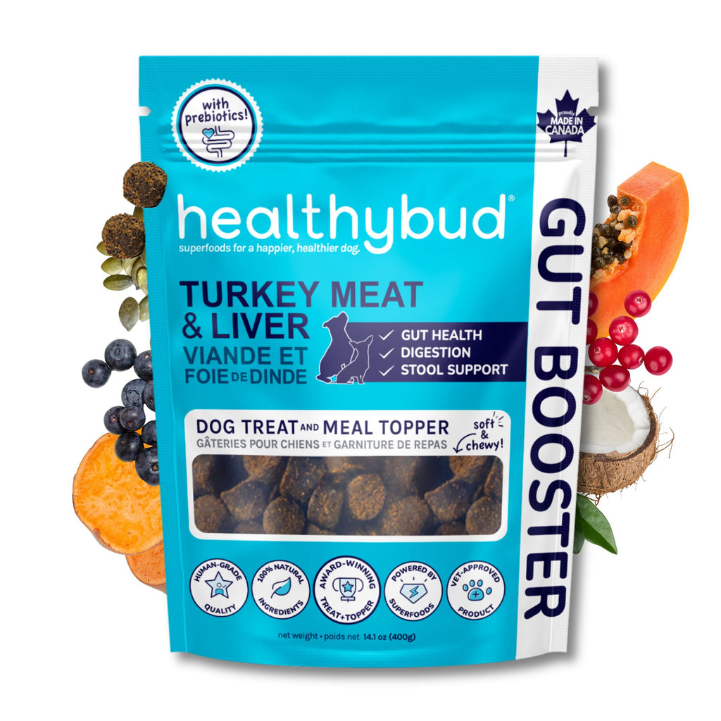 Front of Healthybud Turkey Gut Booster bag - supports digestion and stool with prebiotics, pumpkin seeds, & probiotics.