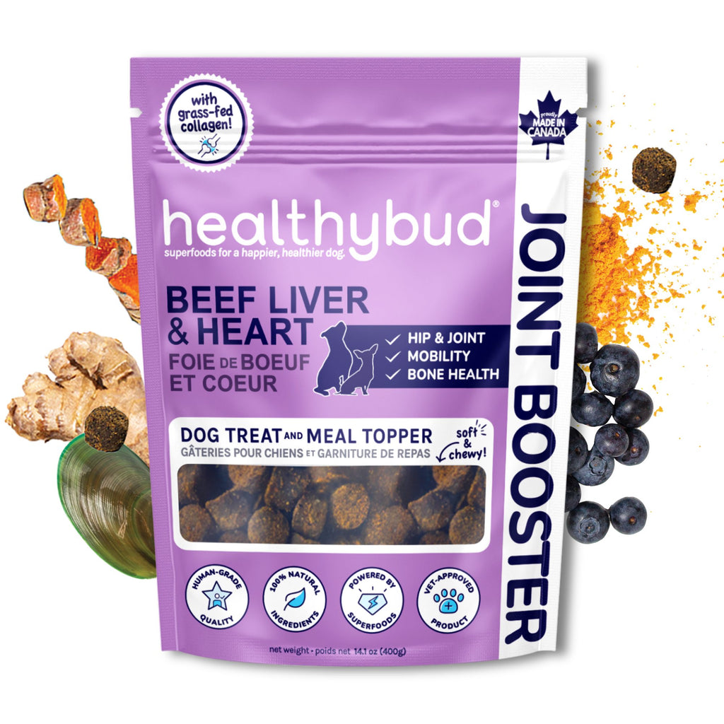 Front of Healthybud Beef Joint Booster treats - supports mobility with superfoods; green-lipped mussel, collagen, & turmeric.