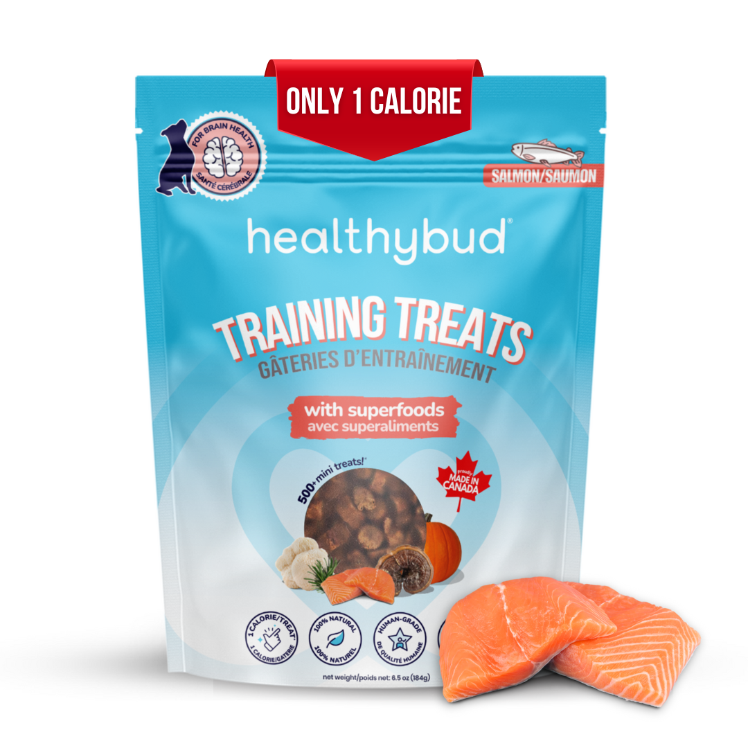 Salmon Mini Training Treats - healthybud USA