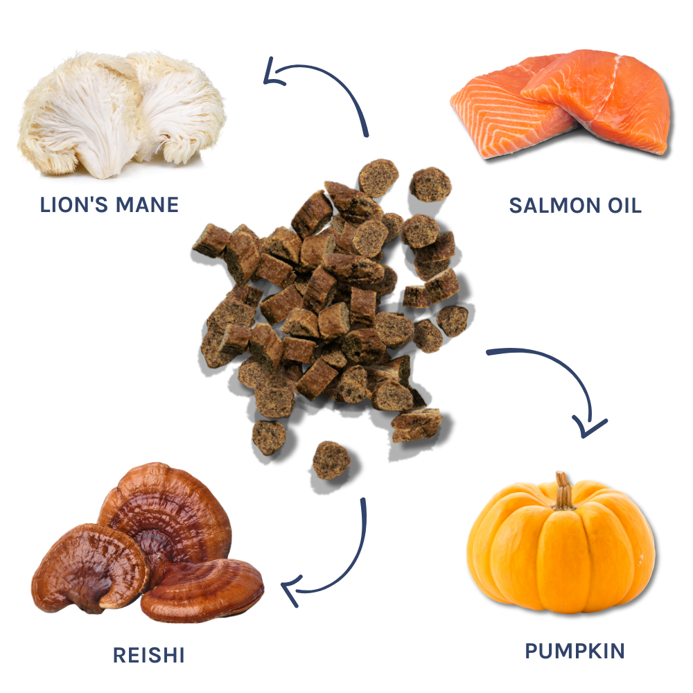 Salmon Mini Training Treats - healthybud USA superfoods