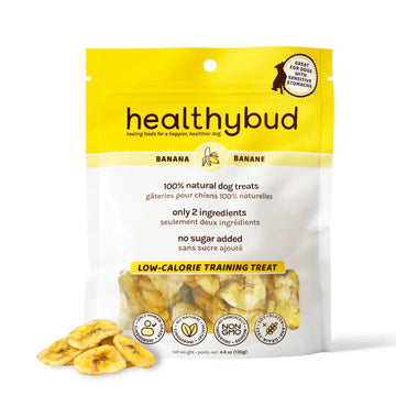 Healthybud Banana Chips for dogs - front of bag with banana chips inside. Natural, vegan, and perfect for sensitive stomachs.