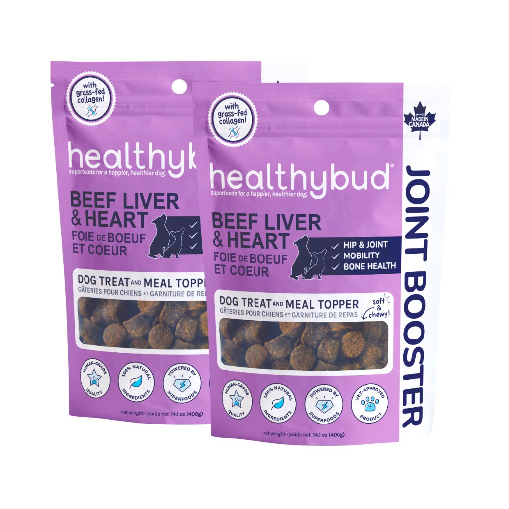 Healthybud Beef Joint Booster 2-pack - supports joint health and mobility with green-lipped mussel, collagen, and turmeric.