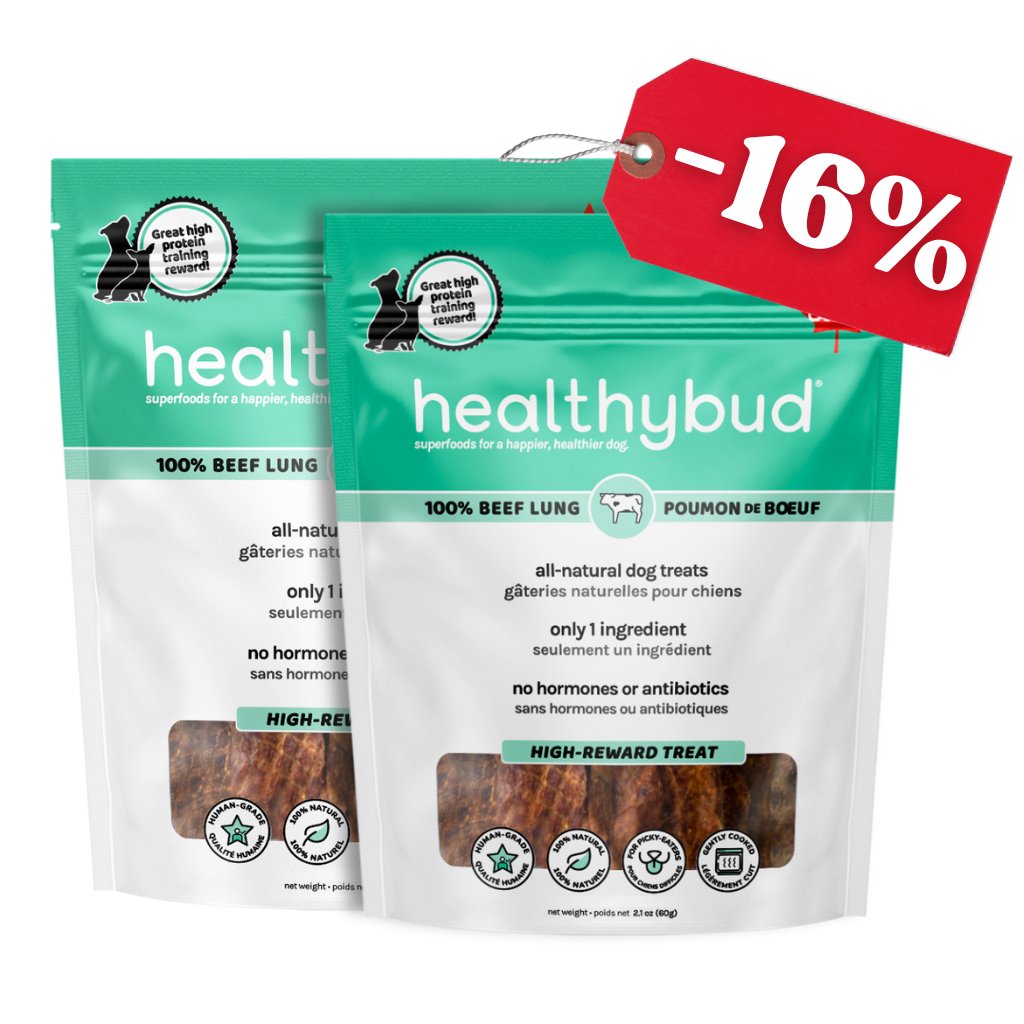 Beef Lung Wafers - healthybud USA