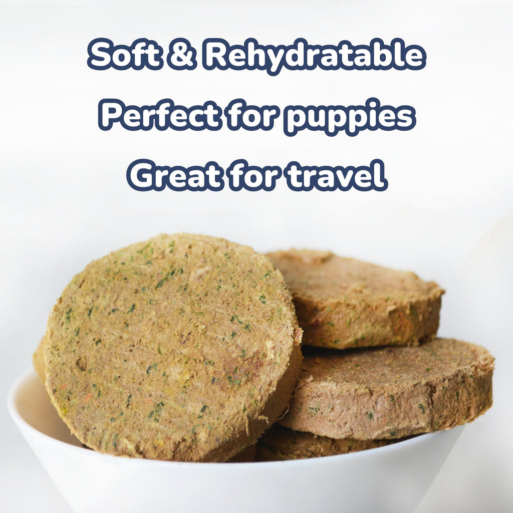 Close-up of Healthybud Beef Meal Patties - freeze-dried, nutrient-rich raw meal with beef, organs, and superfoods.