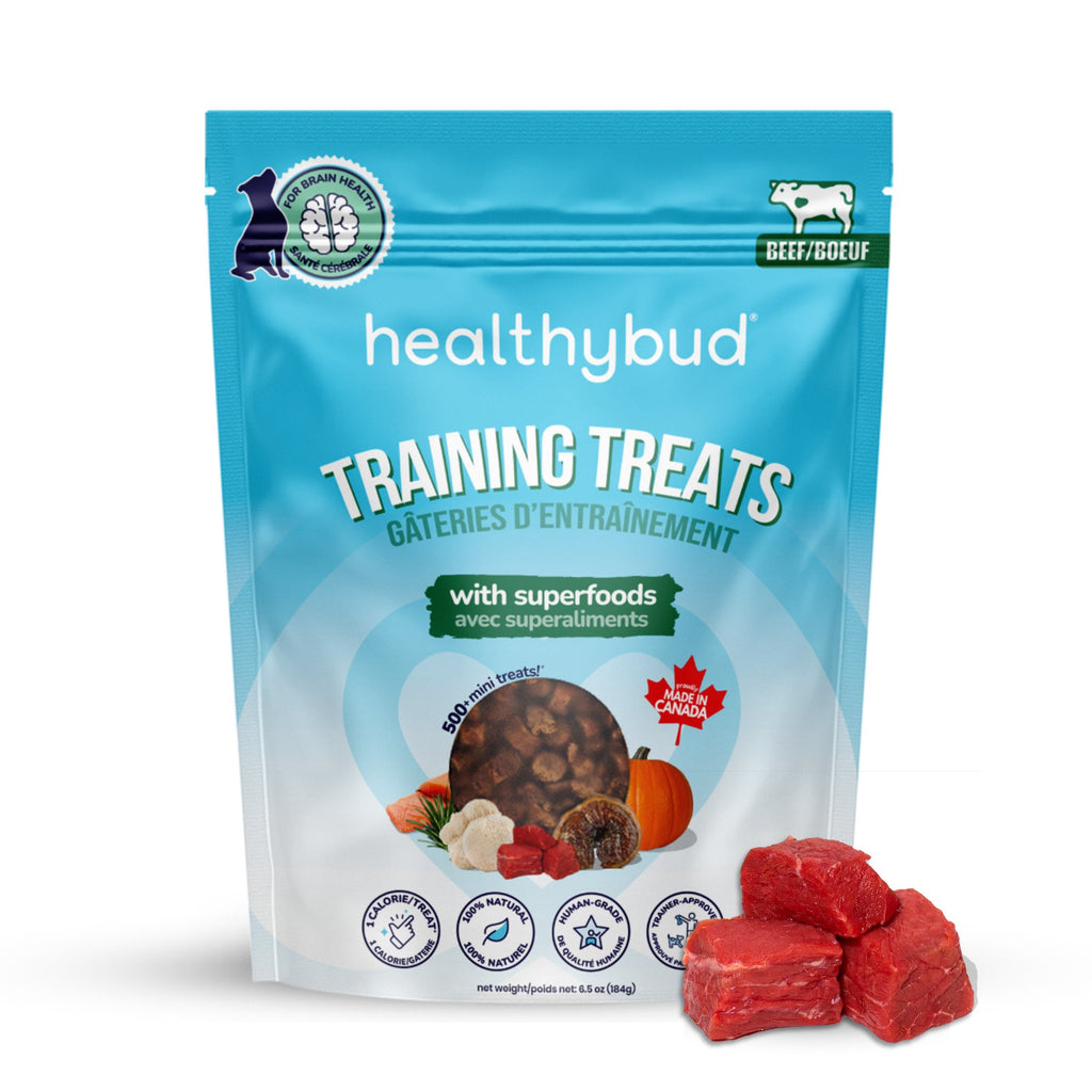 Beef Mini Training Treats - healthybud USA