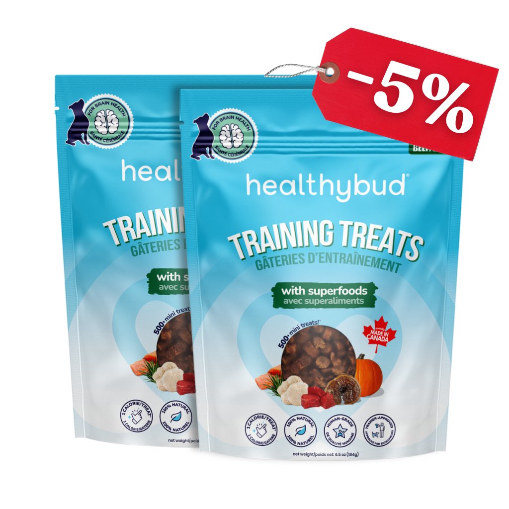 Beef Mini Training Treats - healthybud USA