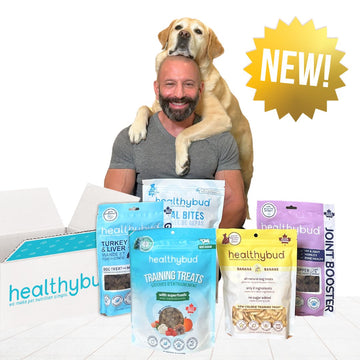 Brian & Magnus Training Bundle (Ltd. Edition) - healthybud USA