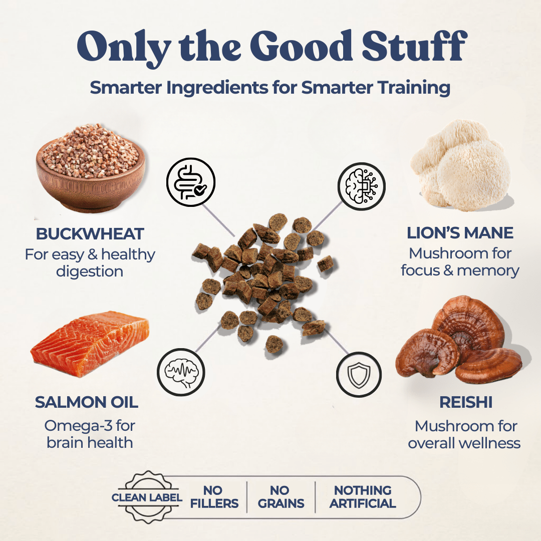 Chicken Mini Training Treats - healthybud
