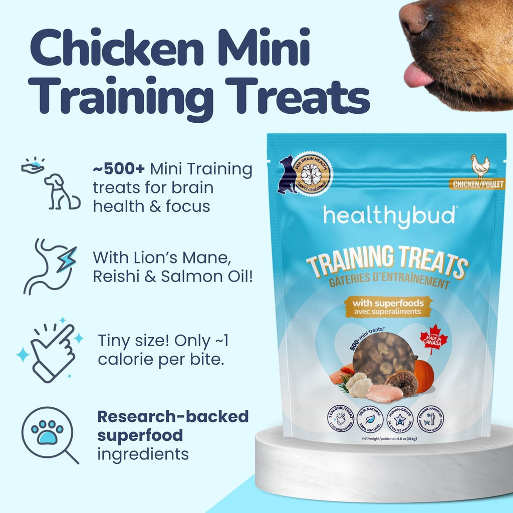 Chicken Mini Training Treats - healthybud USA