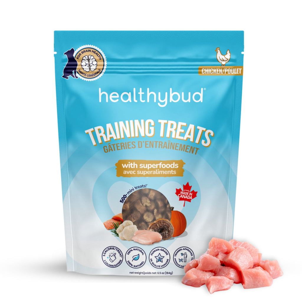 Chicken Mini Training Treats - healthybud USA