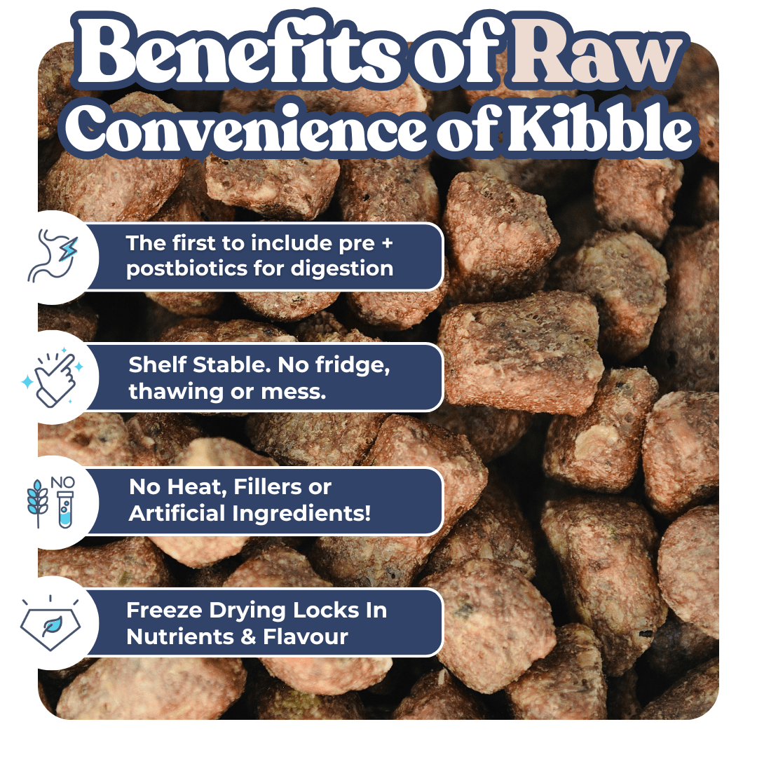 Lamb + Salmon Meal Bites - healthybud