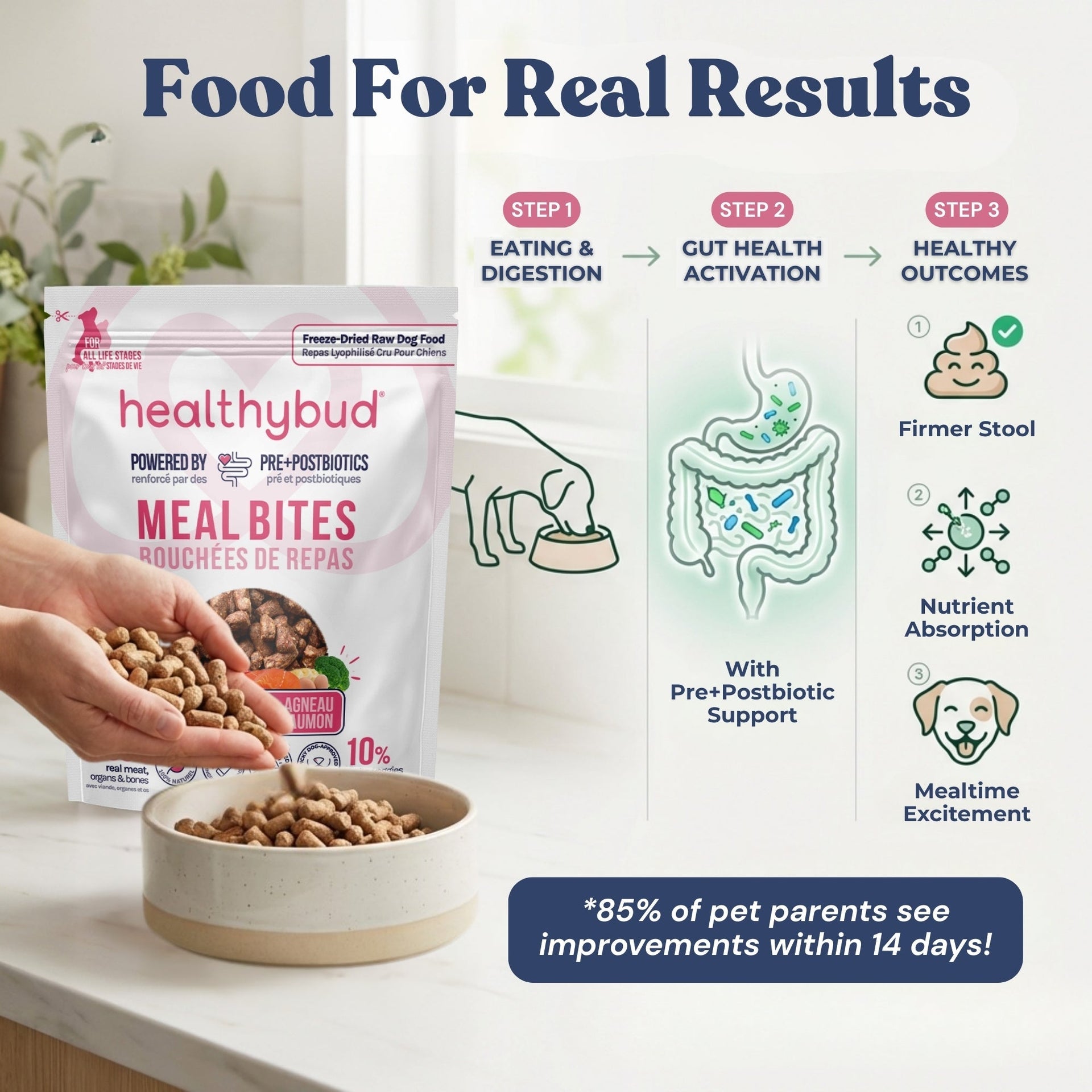 Lamb + Salmon Meal Bites - healthybud