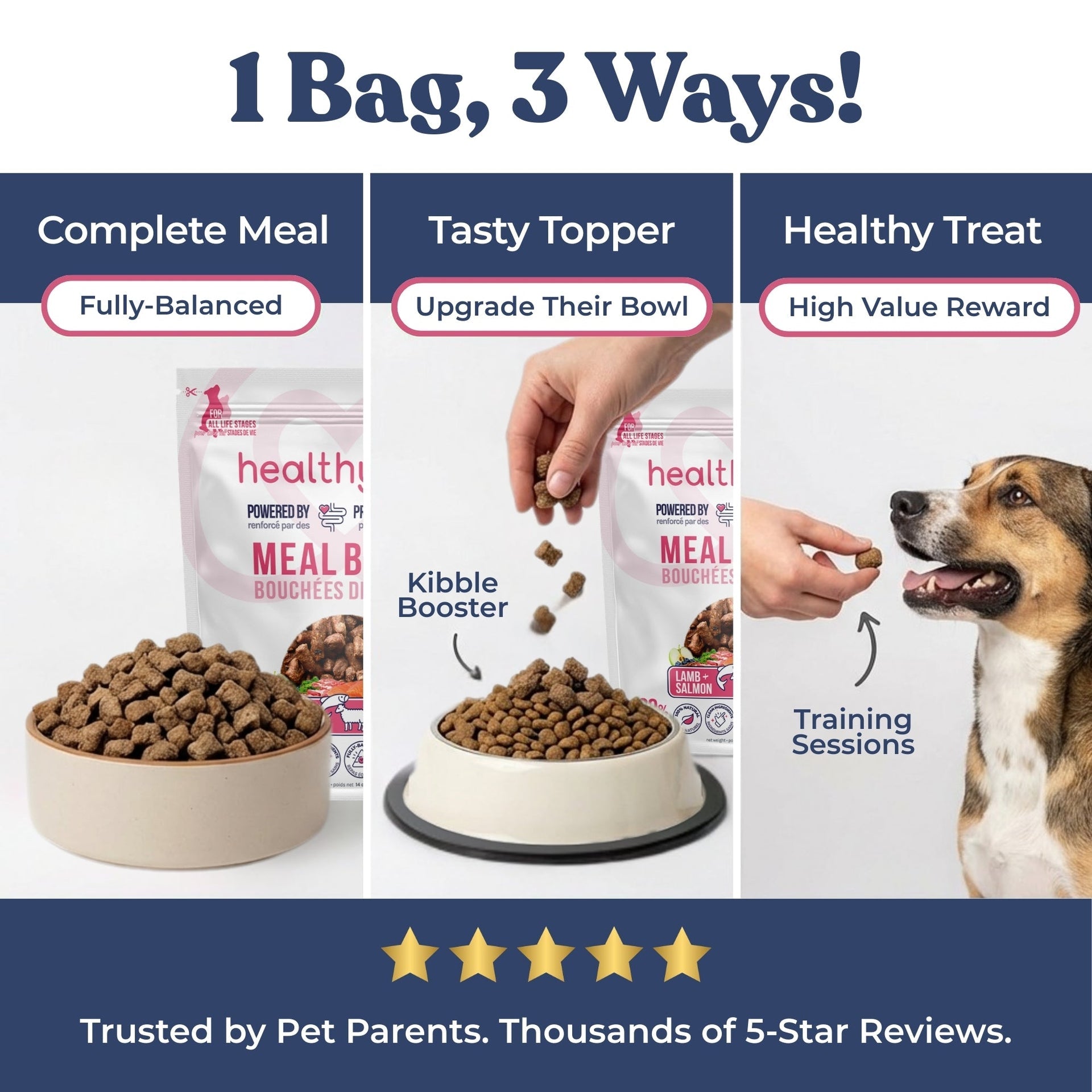 Lamb + Salmon Meal Bites - healthybud