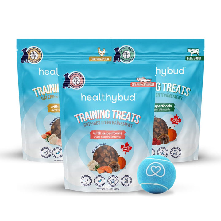 The Ultimate Guide Healthybud's Mini Training Treats for Dogs