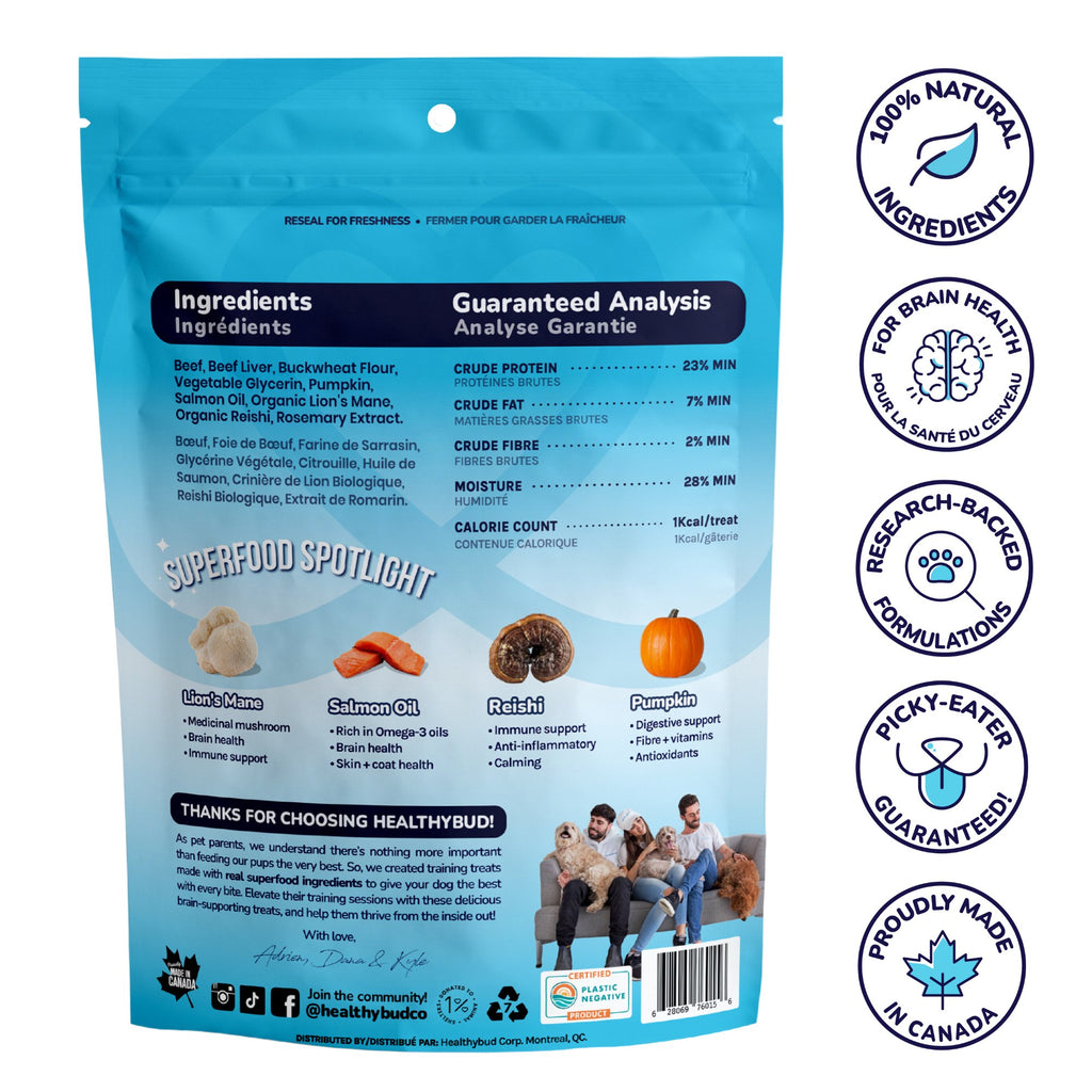 Back of Healthybud Mini Training Treats bag - ingredients include Beef, Beef Liver, Buckwheat Flour, Pumpkin, and Salmon Oil.