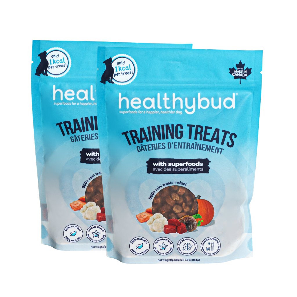 Healthybud Mini Training Treats 2-pack - 1-calorie superfood treats with Lion's Mane, Reishi, and Salmon Oil for all dogs.