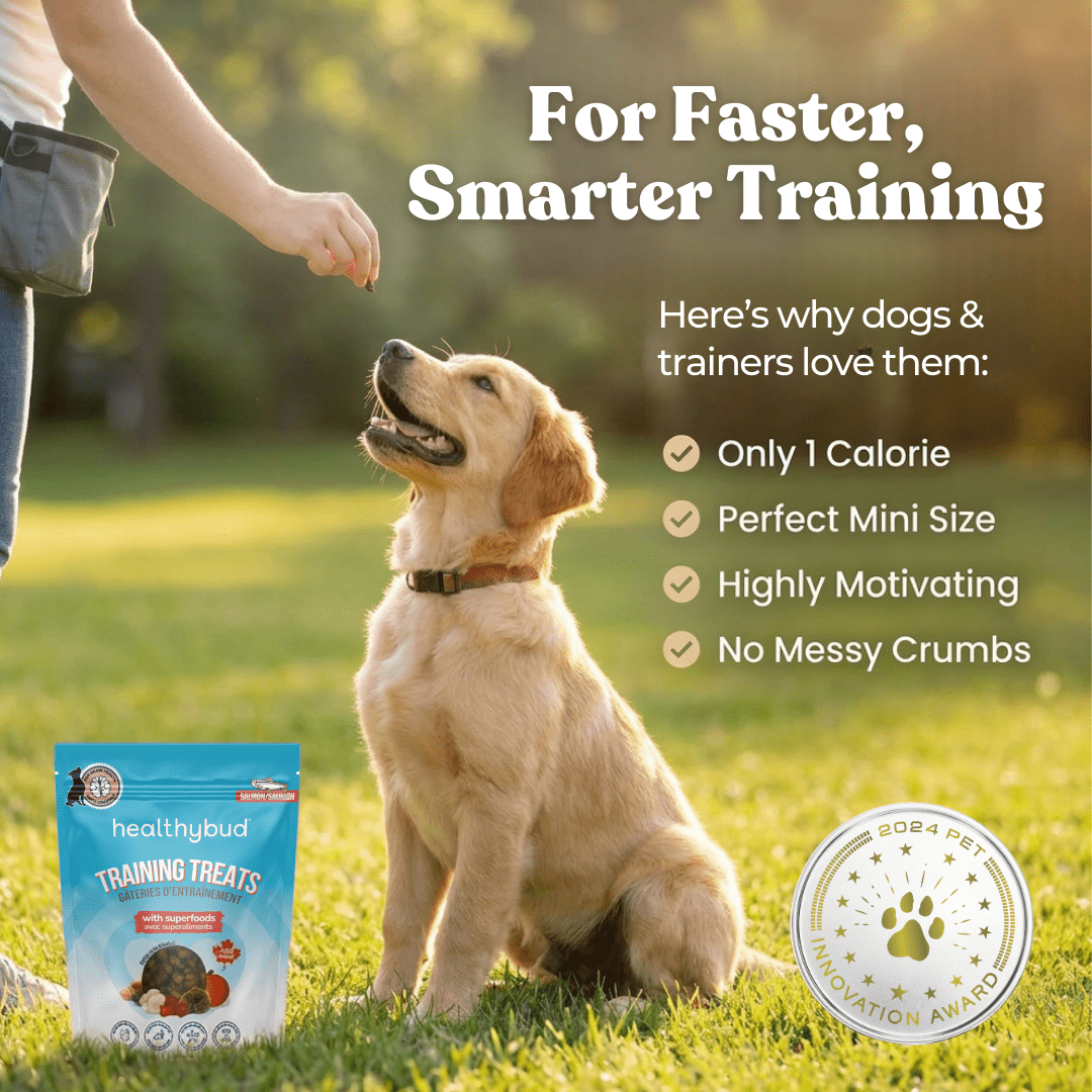 Salmon Mini Training Treats - healthybud