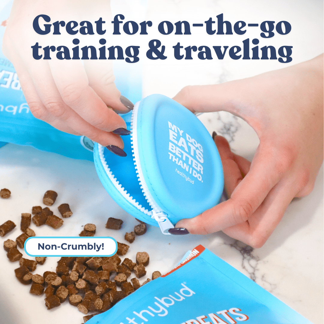 Salmon Mini Training Treats - healthybud