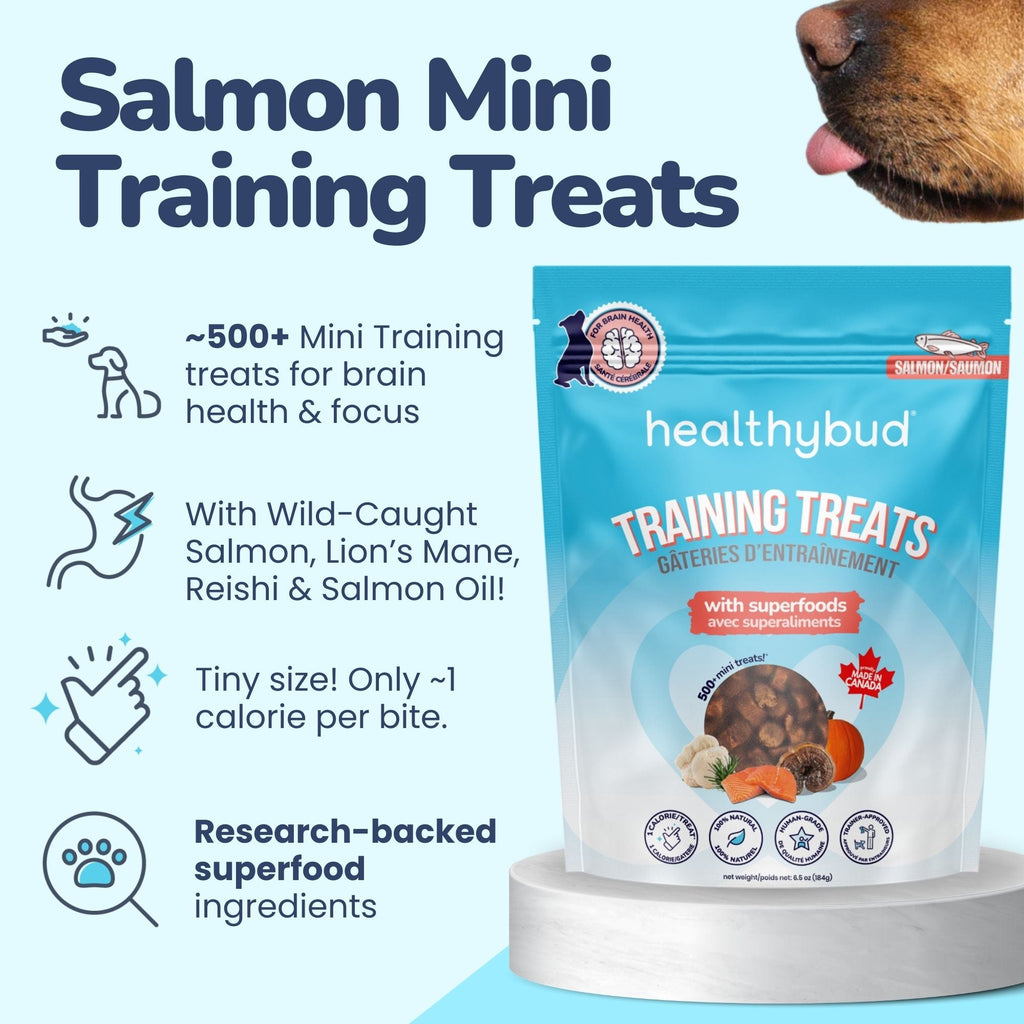 Salmon Mini Training Treats - healthybud USA