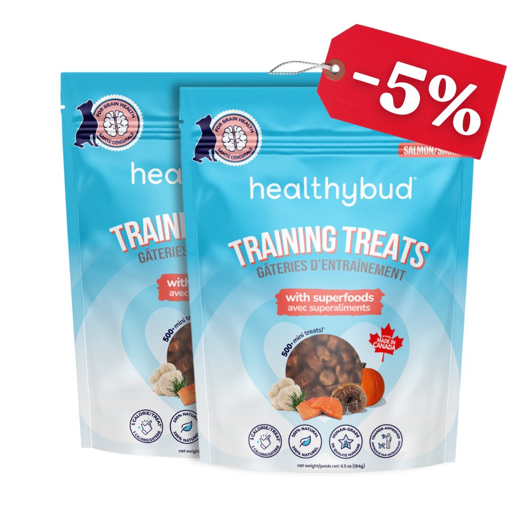 Salmon Mini Training Treats - healthybud USA