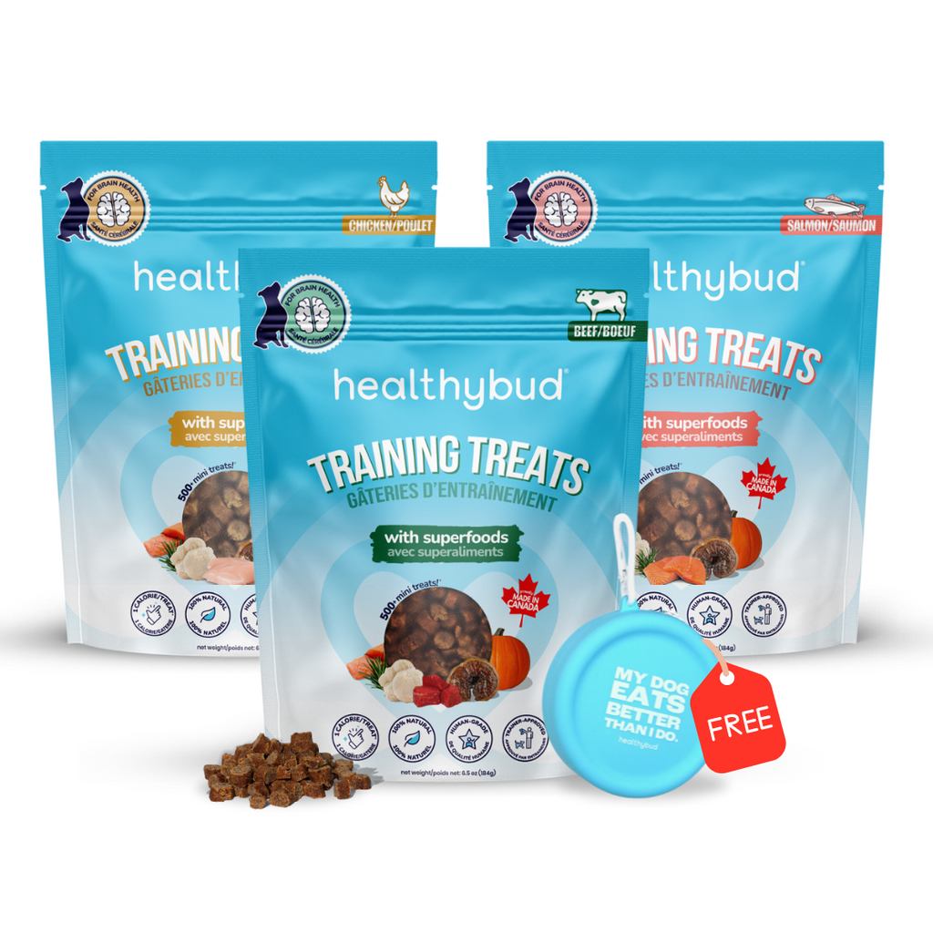 Mini Training Treat Variety Pack - healthybud USA