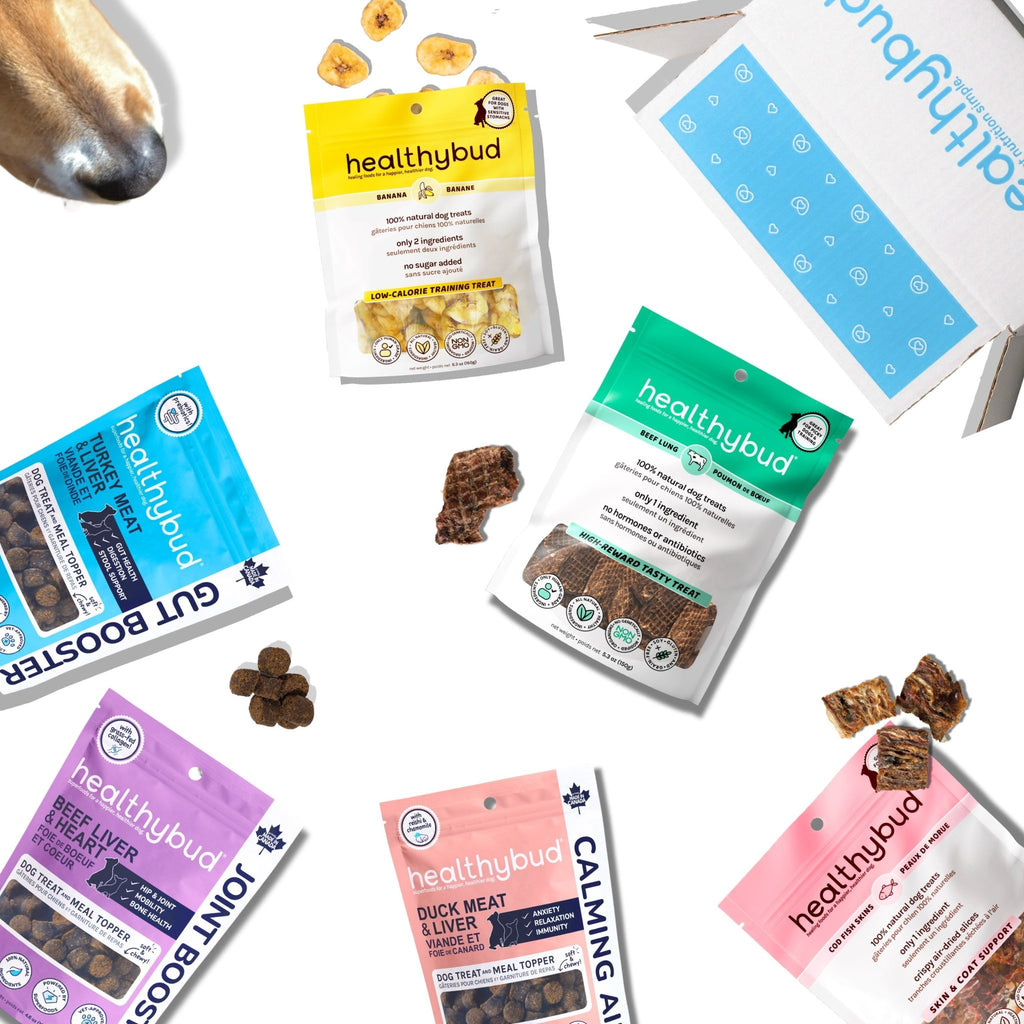 Dog Treat Lover Bundle – Healthy & Functional Snacks | healthybud
