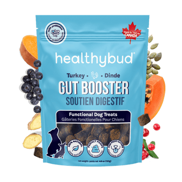 Turkey Gut Booster - healthybud